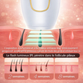 Epilateur IPL SELEY - Corps et bikini - image 5
